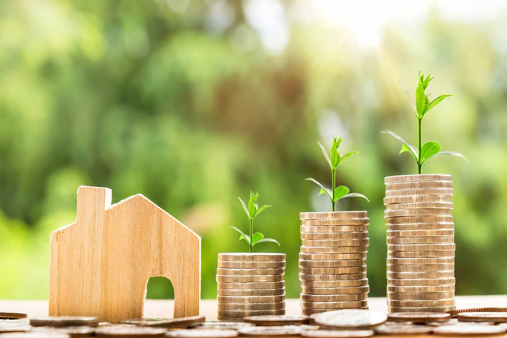 Read more about the article Steuern sparen mit Ferienimmobilien